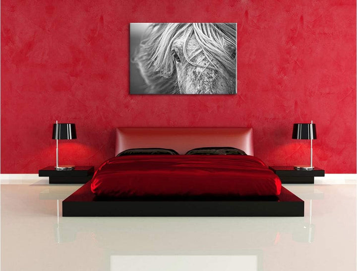 Pixxprint Islandpony in den Westfjorden als Leinwandbild/Grösse: 100x70 cm/Wandbild/Kunstdruck/ferti