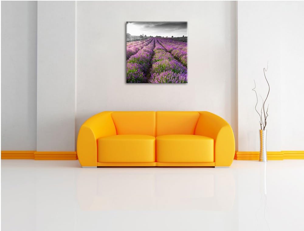 Pixxprint Lavendelfelder in der Provence schwarz/weiss, Format: 70x70 auf Leinwand, 70x70