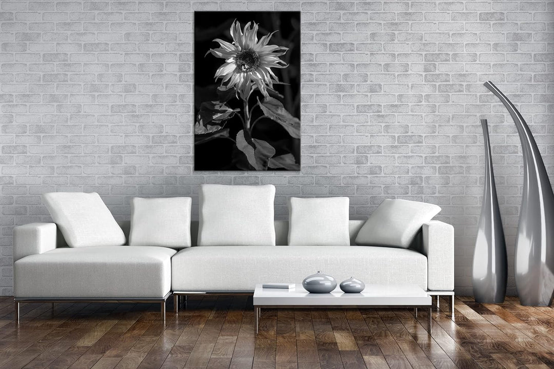 deyoli Blühende Sonnenblume Format: 80x60 Effekt: Schwarz&Weiss als Leinwandbild, Motiv fertig gerah