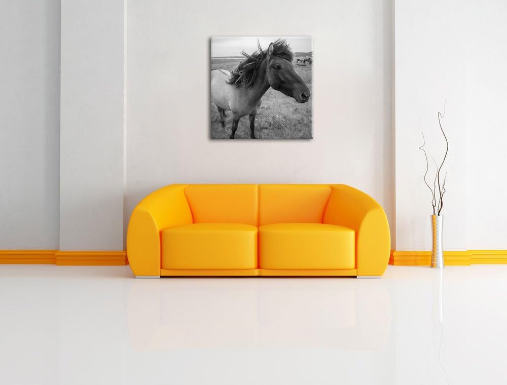 Isländer Pferde in der Wildnis als Leinwandbild/Grösse: 70x70 cm/Wandbild/Kunstdruck/fertig bespannt
