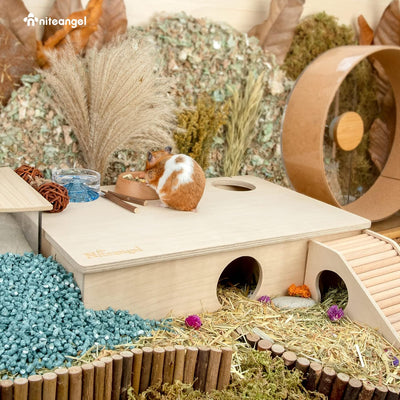 Niteangel Mehrkammer Hamsterhaus Labyrinth - Mehrzimmer-Verstecke und Tunnel-Erkundungsspielzeug für