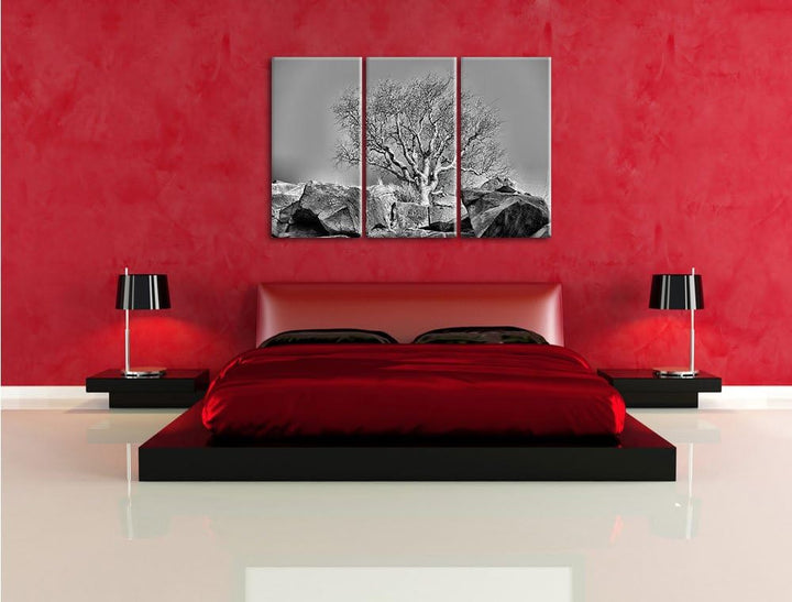 Pixxprint Monocrome, einsamer Baum im Gebirge 3-Teiler Leinwandbild 120x80 Bild auf Leinwand