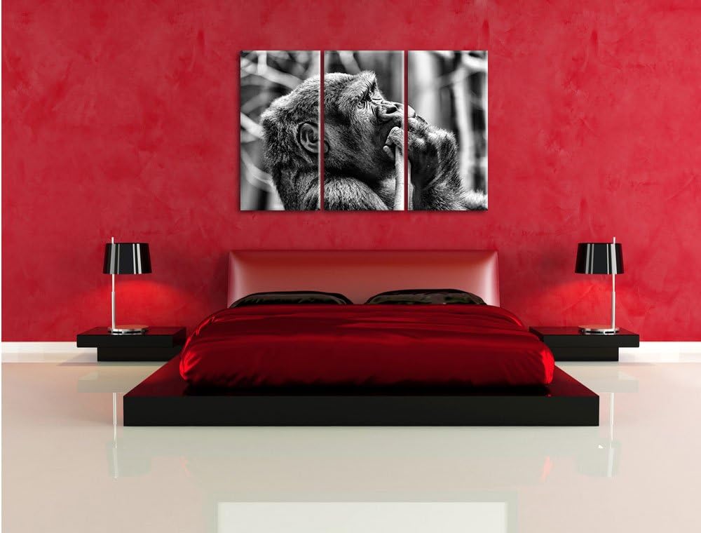 Pixxprint Gorilla isst als Leinwandbild/Grösse: 3 Teilig (120x80) cm/Wandbild/Kunstdruck/fertig besp