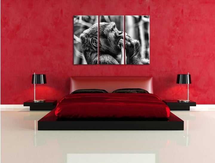 Pixxprint Gorilla isst als Leinwandbild/Grösse: 3 Teilig (120x80) cm/Wandbild/Kunstdruck/fertig besp