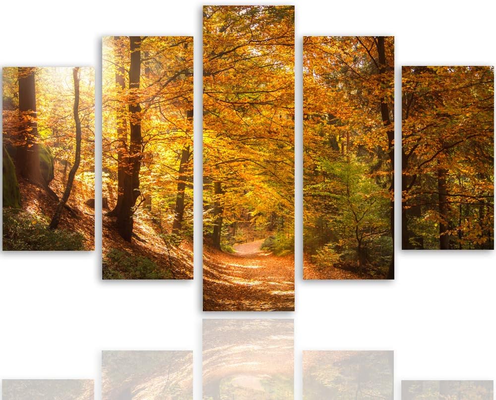 Leinwandbild 5 Teilig Natur Bild Wanddeko Herbst Wald Pfad Bäume orange 200x100 cm Leinwandbild 200x