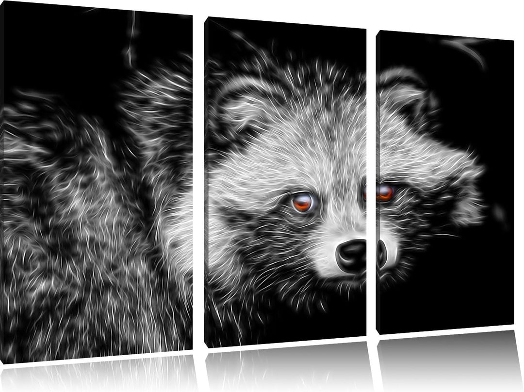 Dark scheuer Waschbär schwarz/weiss Deluxe 3-Teiler Leinwandbild 120x80 Bild auf Leinwand, XXL riesi