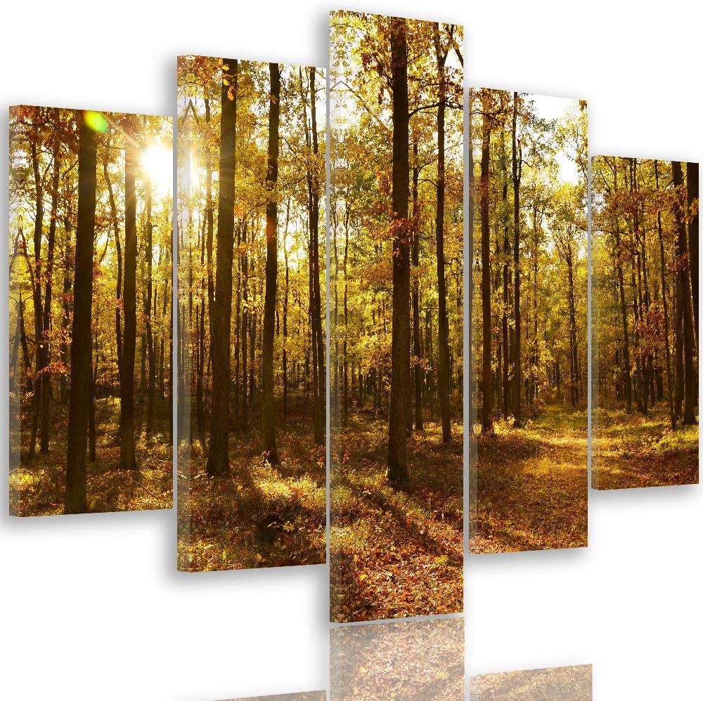 Feeby Leinwandbild 5 Teilig Landschaft Bild Wanddeko Blätter Wald Bäume orange 200x100 cm Leinwandbi