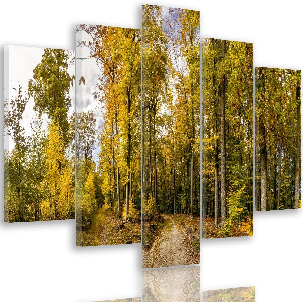 Feeby Leinwandbild Landschaft 5 TLG Bild Kunstdruck Wald Bäume Pfad Natur grün 100x70 cm Leinwandbil