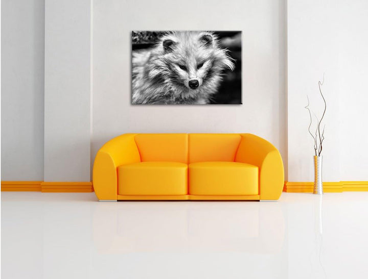 Pixxprint Kleiner Polarfuchs als Leinwandbild/Grösse: 100x70 / Wandbild/Kunstdruck/fertig bespannt,