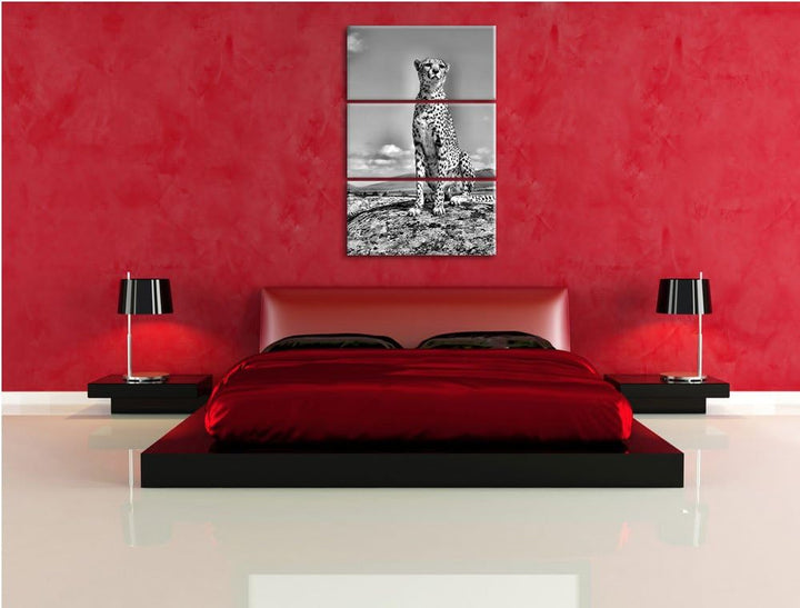 Pixxprint Monocrome, Wachsamer Gepard 3-Teiler Leinwandbild 120x80 Bild auf Leinwand