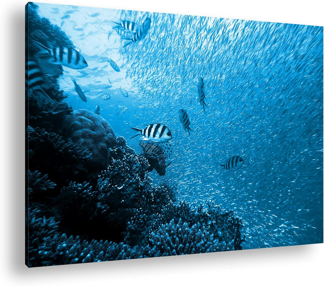 deyoli Fischschwärme im Korallenriff Format: 100x70 Effekt: Monocrome Blau als Leinwandbild, Motiv f