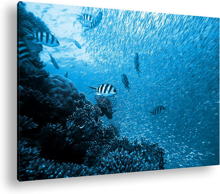 deyoli Fischschwärme im Korallenriff Format: 100x70 Effekt: Monocrome Blau als Leinwandbild, Motiv f