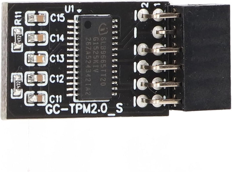 TPM 2.0 Modul LPC SPI 12 Pin Remote Card Encryption Security Board, Zubehör Kompatibel mit Plattform
