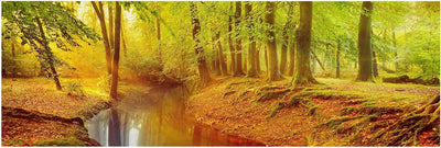 Bilderwelten Leinwandbild - Herbstwald - Panorama Quer, 40cm x 120cm, 40cm x 120cm