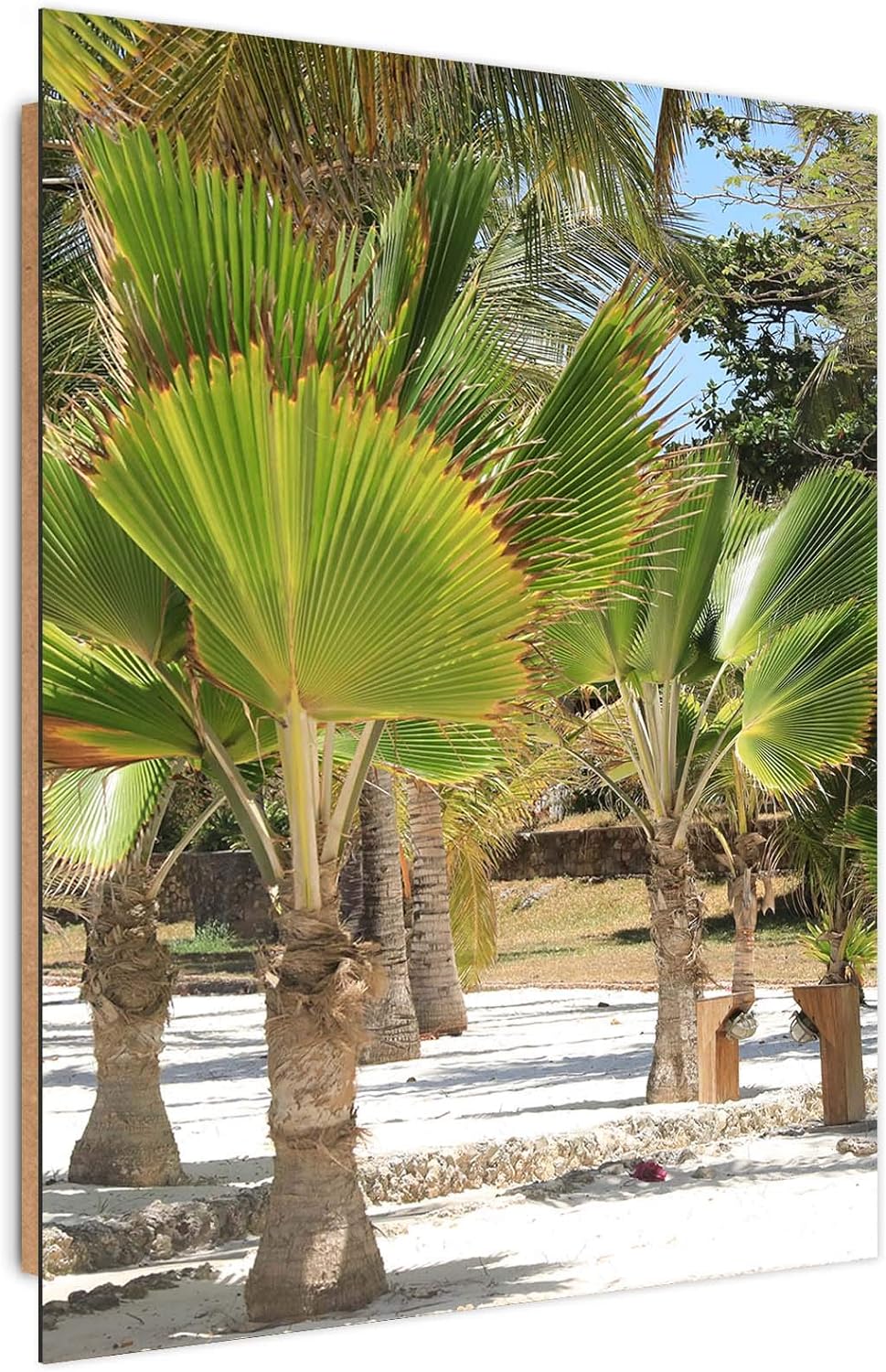 Wandbild XXL Afrika Deko Kunst Bilder exotische Natur Grün 80x120 cm Deko paneel 80x120 cm Grün_B, D