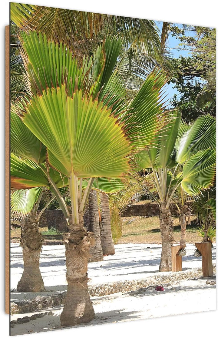 Wandbild XXL Afrika Deko Kunst Bilder exotische Natur Grün 80x120 cm Deko paneel 80x120 cm Grün_B, D