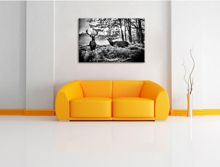 Pixxprint Hirsch Rivalen kämpfen als Leinwandbild/Grösse: 100x70 cm/Wandbild/Kunstdruck/fertig bespa