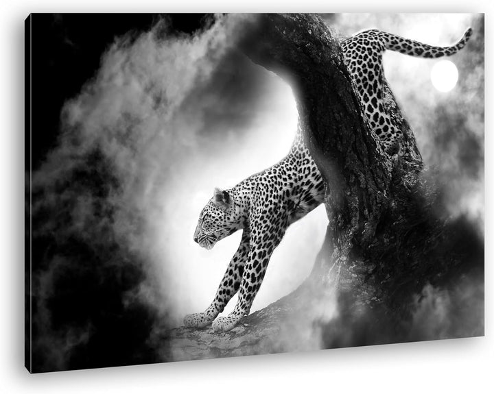 deyoli exotischer Gepard im Mondschein im Format: 80x60 als Leinwandbild, Motiv fertig gerahmt auf E