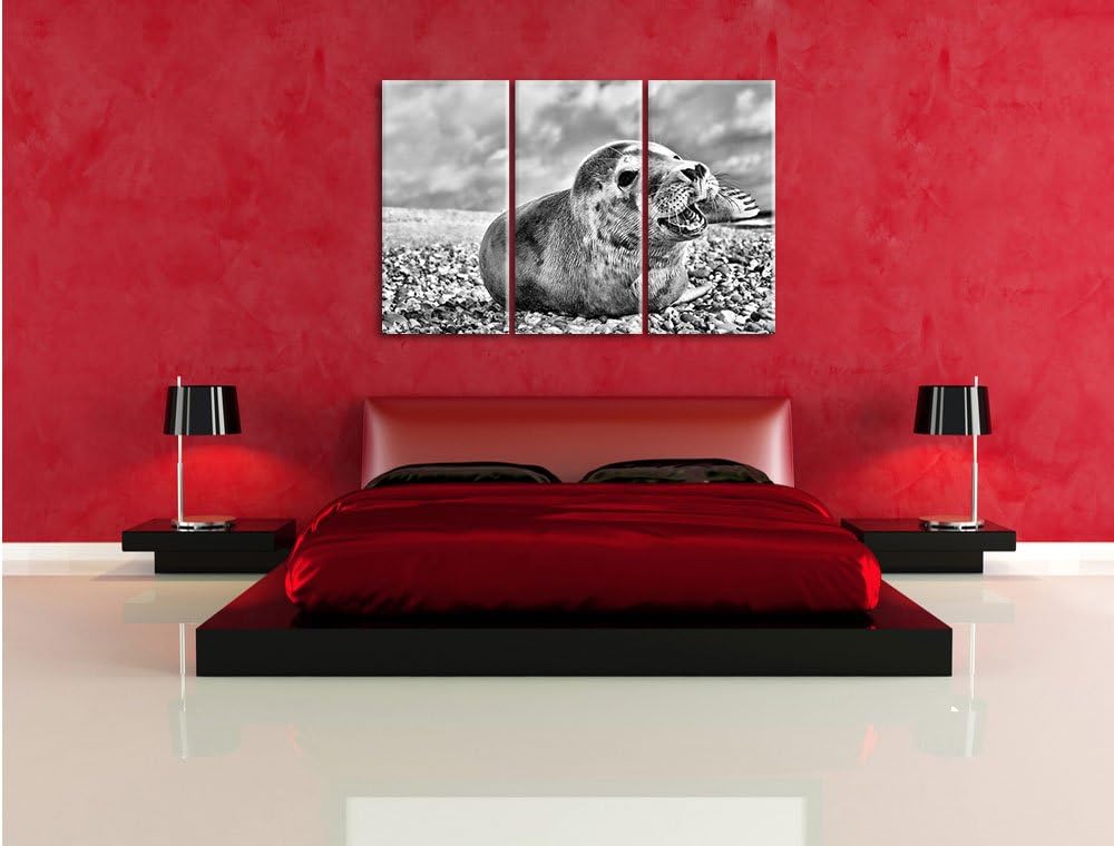 Pixxprint Monocrome, Süsse Robbe auf Steinstrand 3-Teiler Leinwandbild 120x80 Bild auf Leinwand