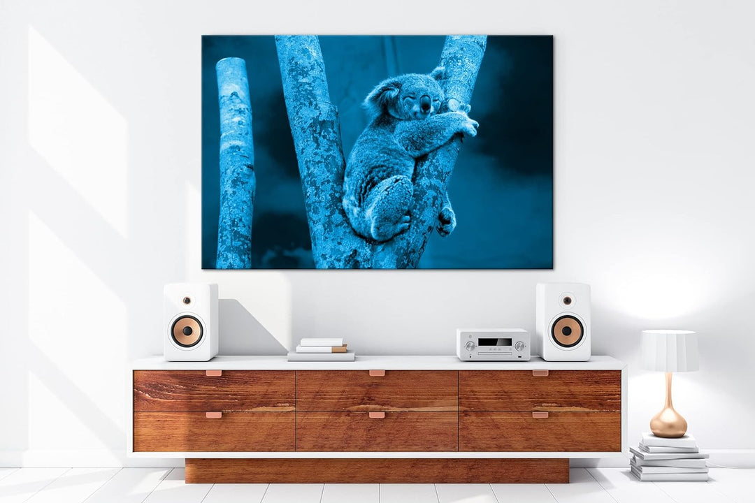 deyoli niedlich schlafender Koalabär Format 80x60 Effekt: Monocrome Blau als Leinwandbild, Motiv fer