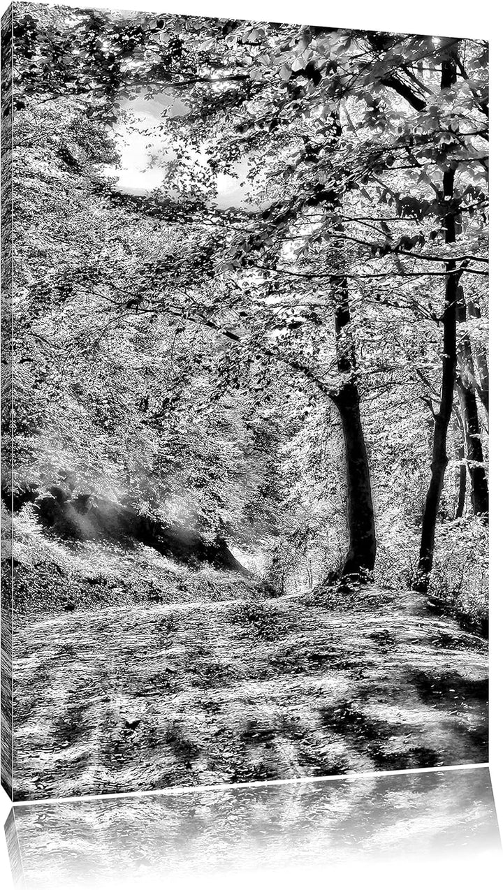 Monocrome, Wald im Herbst, Format: 100x70 auf Leinwand, XXL riesige Bilder fertig gerahmt mit Keilra