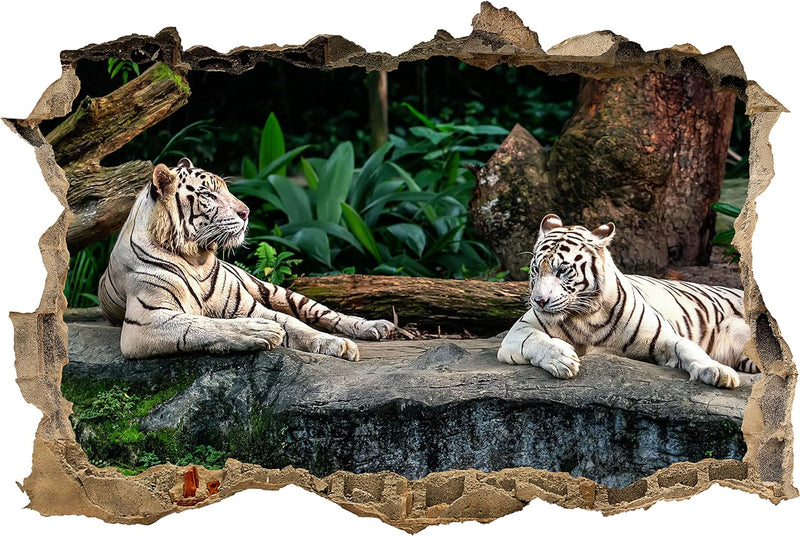 wandmotiv24 3D-Wandsticker Weisse Tiger auf Felsen, Tiere, Katze, Design 01, 90x60cm (BxH), Aufklebe