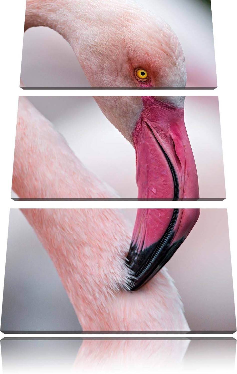Pixxprint prächtiger Flamingo als Leinwandbild/Grösse: 3 Teilig (120x80) cm/Wandbild/Kunstdruck/fert