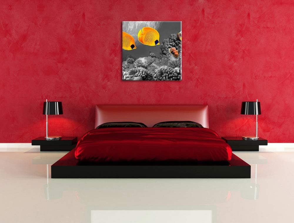 Pixxprint Fische über Korallenriff als Leinwandbild/Grösse: 70x70 cm/Wandbild/Kunstdruck/fertig besp