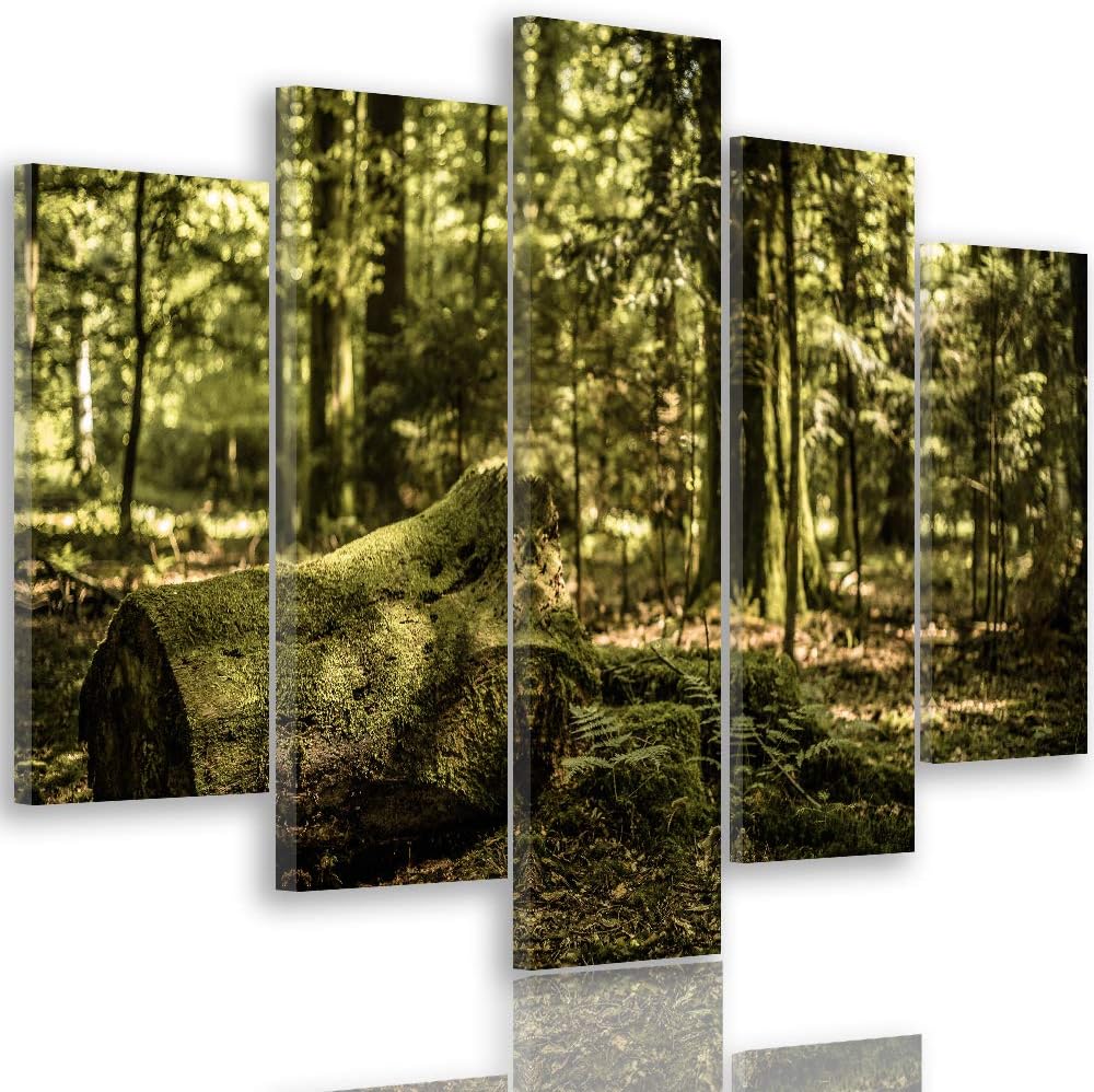 Feeby Wanddeko XXL Landschaft Leinwandbild 5 Teilig Wald Bäume Natur braun 100x70 cm Leinwandbild 10