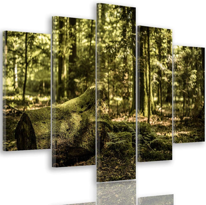 Feeby Wanddeko XXL Landschaft Leinwandbild 5 Teilig Wald Bäume Natur braun 100x70 cm Leinwandbild 10
