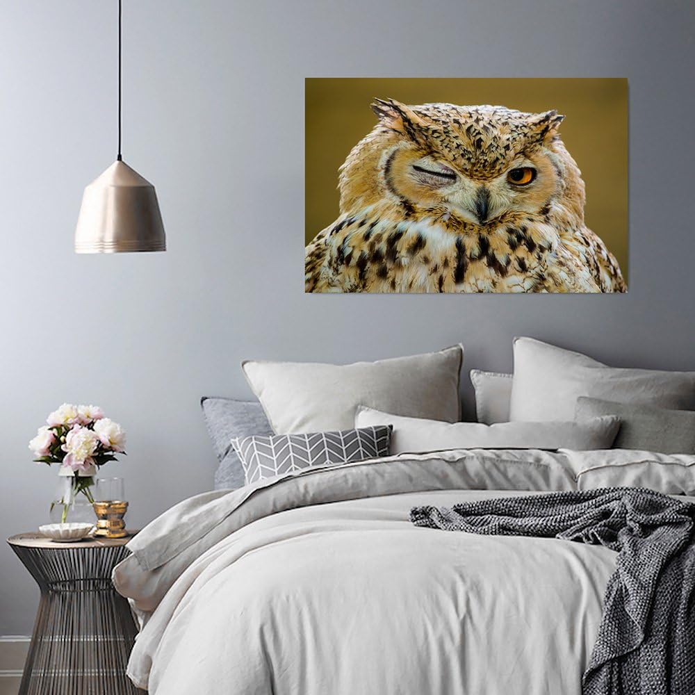 Feeby Bilder Eule Tier 60x40 cm Wohnzimmer Schlafzimmer Büro Flur Küche Wandbilder Modern Bild auf L