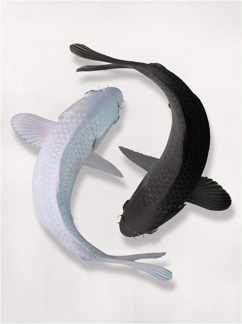 Bilderwelten Leinwandbild Jonas Loose Fische Ying & Yang 40 x 30cm Canvas 40cm x 30cm - Canvas, 40cm