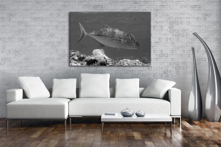 deyoli Blauer Fisch im klaren Wasser Effekt: Schwarz/Weiss Format: 80x60 als Leinwandbild, Motiv fer
