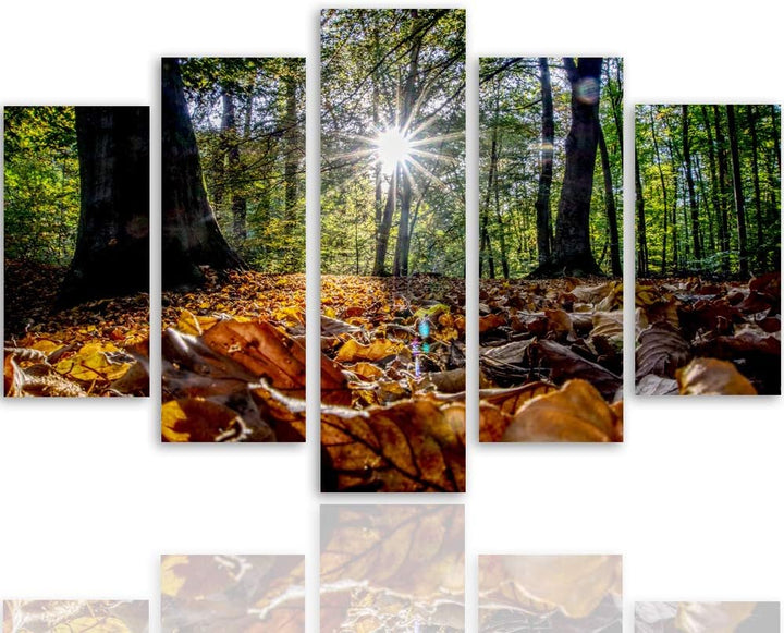 Feeby Bild auf Leinwand Blätter 5 Teilig Modern Bäume Sonne Landschaft orange 150x100 cm Leinwandbil