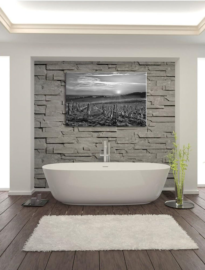 Pixxprint Weinberg in Bergerac Frankreich Kunst B&W, Format: 100x70 auf Leinwand, 100x70