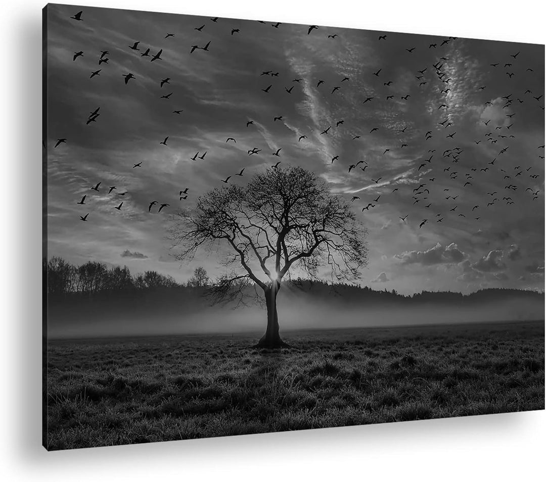 deyoli einsamer Baum Format: 80x60 Effekt: Schwarz&Weiss als Leinwandbild, Motiv fertig gerahmt auf