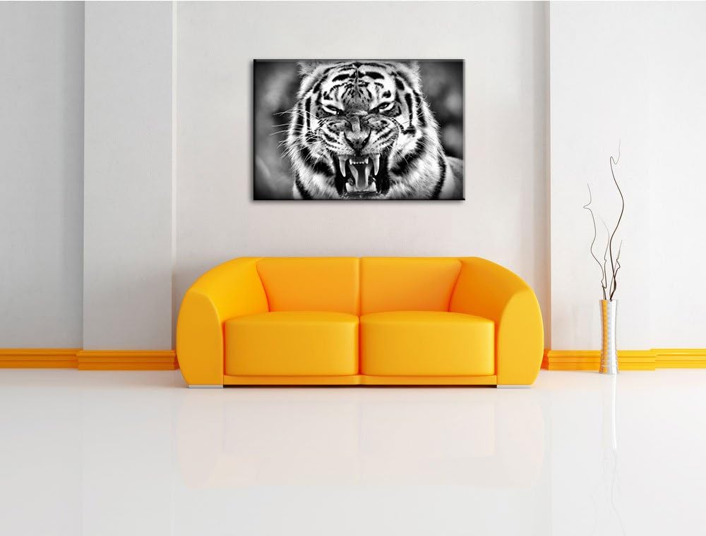 Pixxprint aggressiver Tiger als Leinwandbild/Grösse: 100x70 / Wandbild/Kunstdruck/fertig bespannt, 1