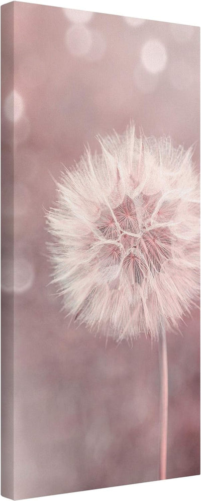 Bilderwelten Leinwandbild Pusteblume Bokeh rosa 60 x 30cm Recycled Canvas 60cm x 30cm - Recycled Can