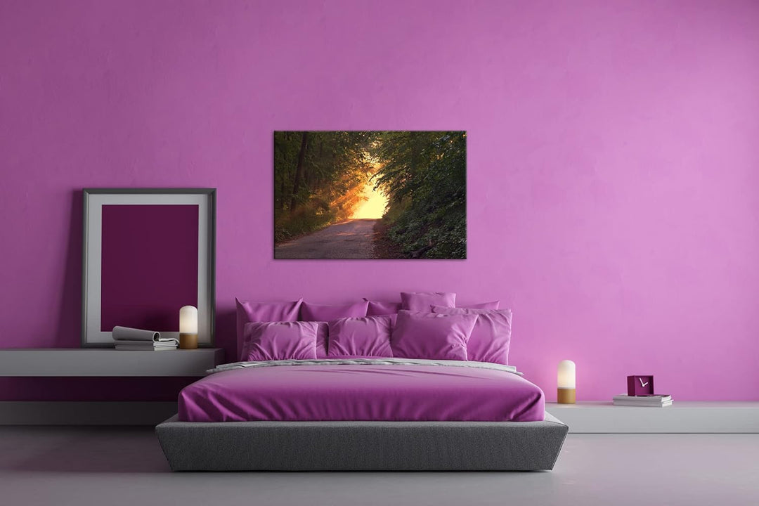 deyoli Waldweg im schönen Sonnenlicht am Abend im Format: 80x60 als Leinwandbild, Motiv fertig gerah