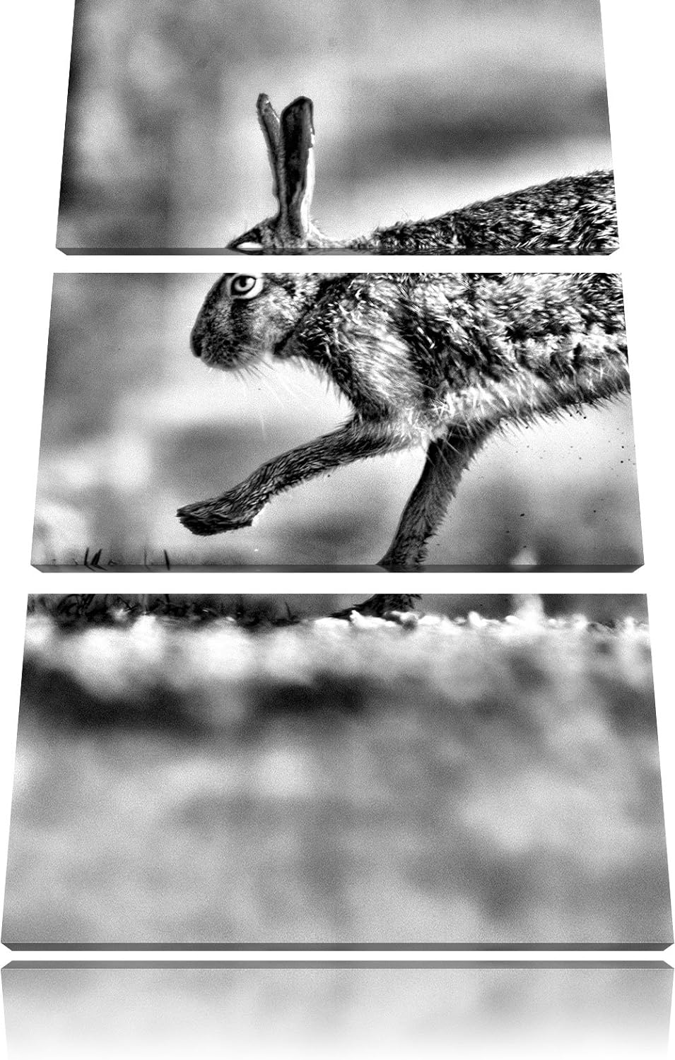 Pixxprint Hüpfender Hase als Leinwandbild/Grösse: 3 Teilig (120x80) cm/Wandbild/Kunstdruck/fertig be