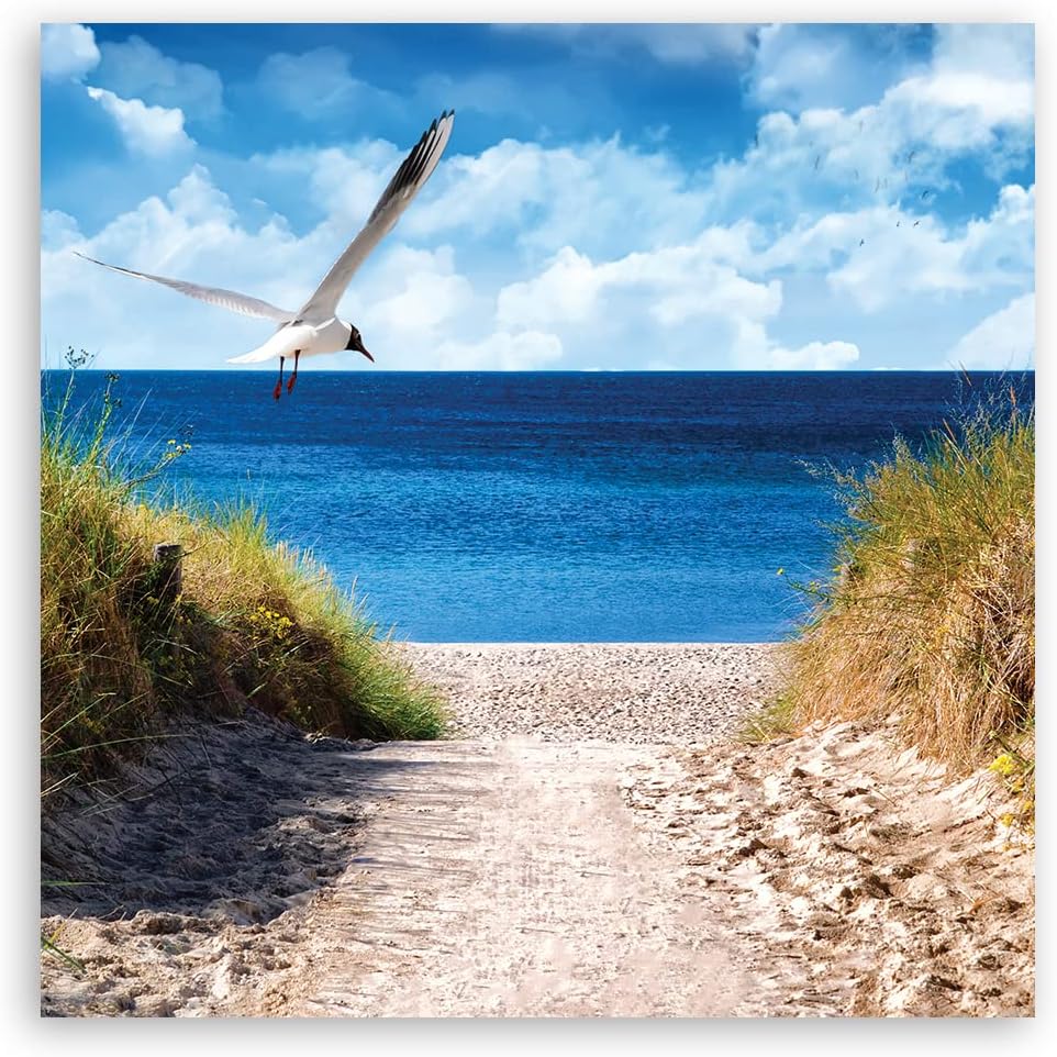 Feeby Wanddeko Ostsee Nordsee Strand 50x50 cm Leinwandbild Kunstdruck Möwe Pfad Gras Blau 17253 50x5