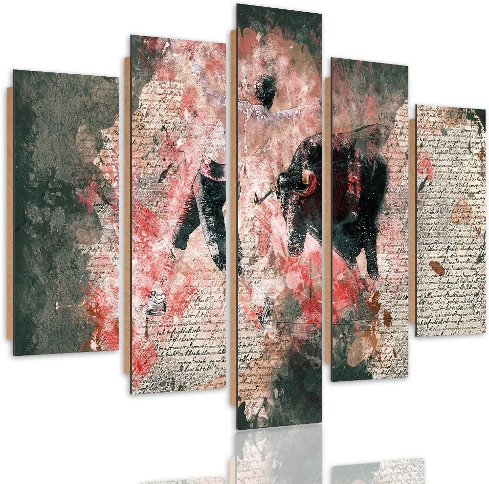 Bilder 5 Teilig Abstraktion Deco Panel Kunst Stierkampf Bulle rosa 100x70 cm Deco panel 100x70 cm A,