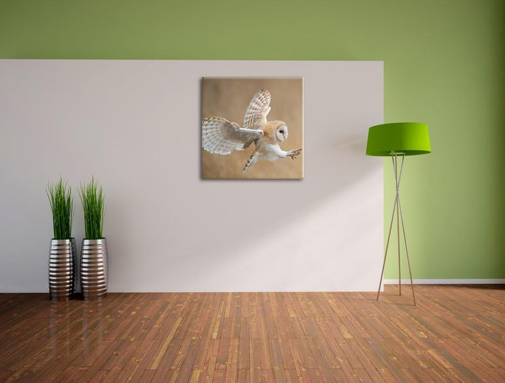 Pixxprint Fliegende Weisse Eule bei der Jagd, Format: 70x70 auf Leinwand, 70x70