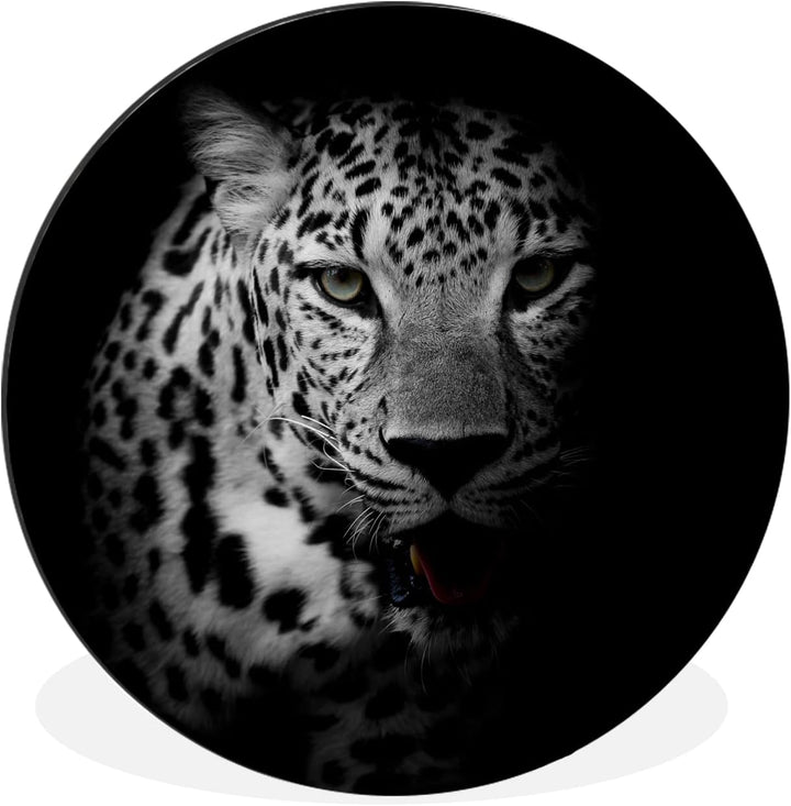 MuchoWow Wandbild Rund Wanddeko Deko Wohnzimmer Bilder 60x60 cm Tiere - Schwarz - Weiss - Panther -