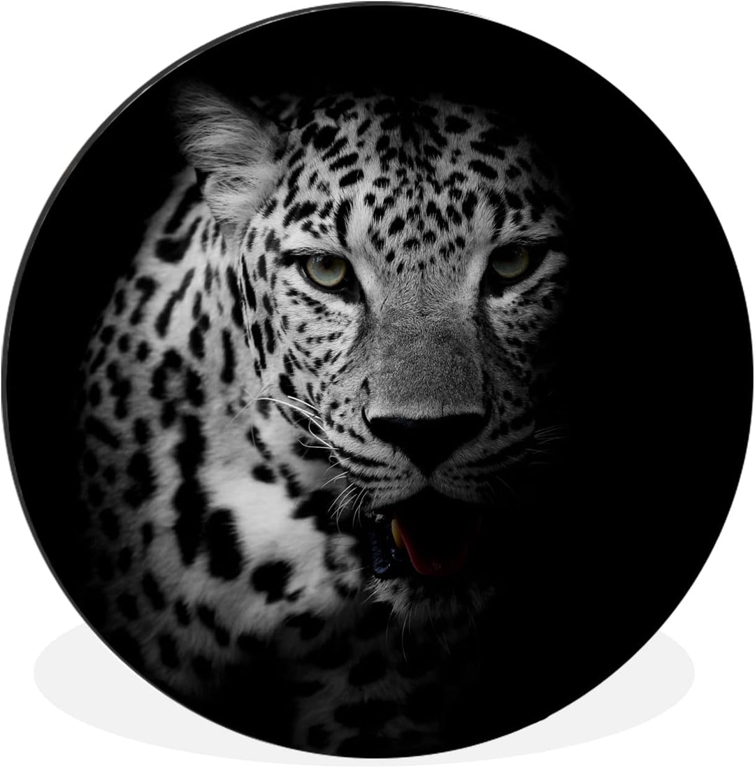 MuchoWow Wandbild Rund Wanddeko Deko Wohnzimmer Bilder 30x30 cm Tiere - Schwarz - Weiss - Panther -