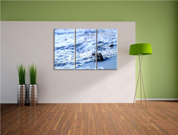 kleine Krabbe am Strand NewArt 3-Teiler Leinwandbild 120x80 Bild auf Leinwand, XXL riesige Bilder fe