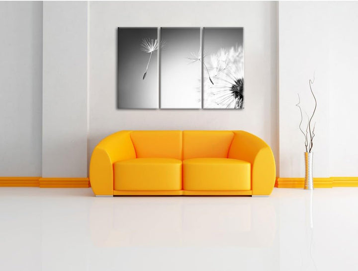 Pixxprint Löwenzahn Schirmflieger Pusteblume Kunst B&W 3-Teiler Leinwandbild 120x80 Bild auf Leinwan