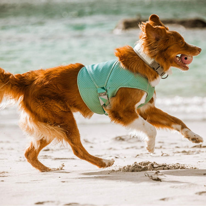 Hurtta Cooling Wrap Kühlweste für Hunde Sommer Kühlweste Aquamarin Hellblau 75-85cm aquamarine 75-85