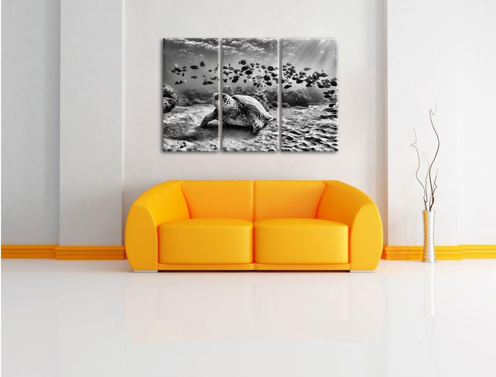 Pixxprint Ninja Turtles / 3-Teilig/Gesamtmass 120cm Leinwandbild bespannt auf Holzrahmen/Wandbild Ku