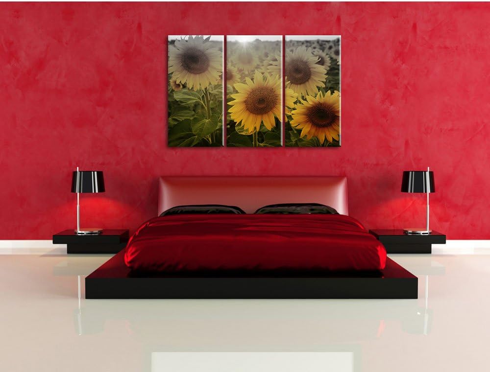 Pixxprint Sonnenblumen auf dem Feld als Leinwandbild/Grösse: 3 Teilig (120x80) cm/Wandbild/Kunstdruc